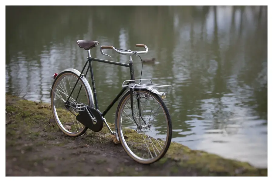 Goeland ~Paris 5.webp