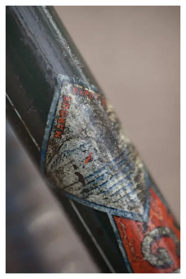 Goeland ~Paris 9.webp