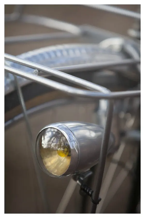 Goeland ~Paris 18.webp