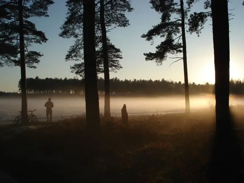 retrobikes in the mist.webp
