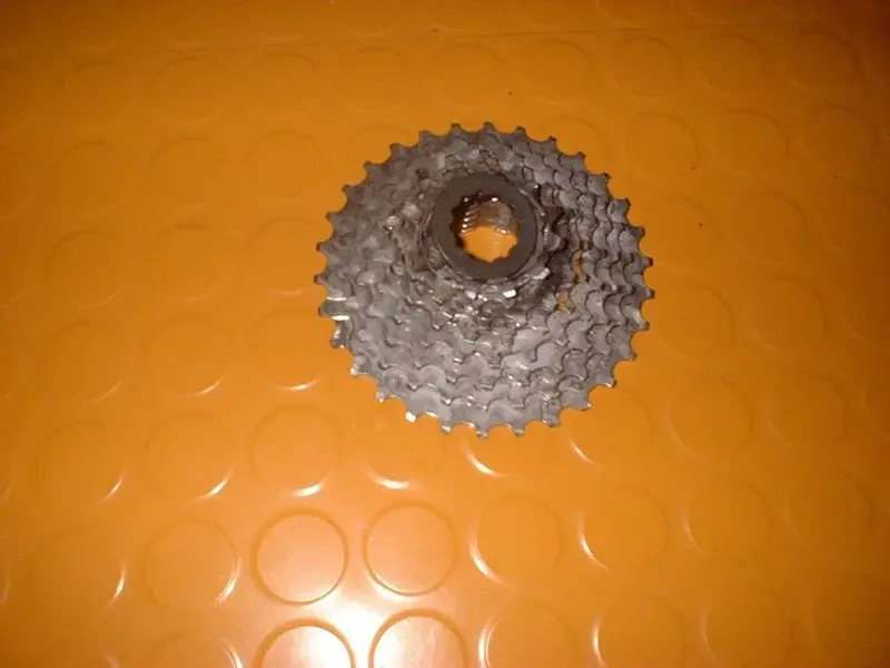 DSCF0078.webp