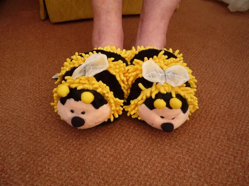 bee slippers.webp