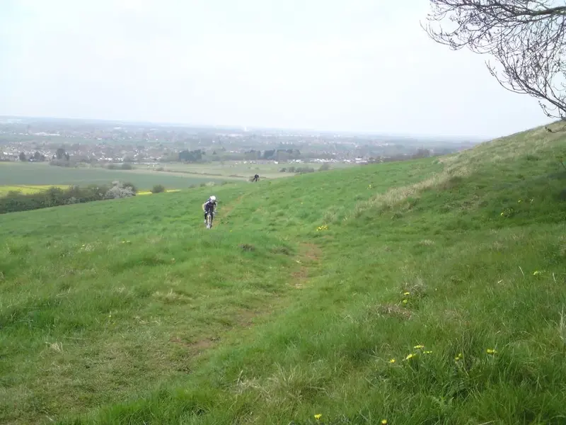 single speed swearing.webp