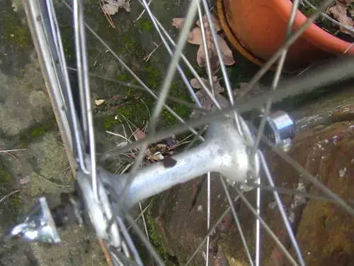 front hub.webp