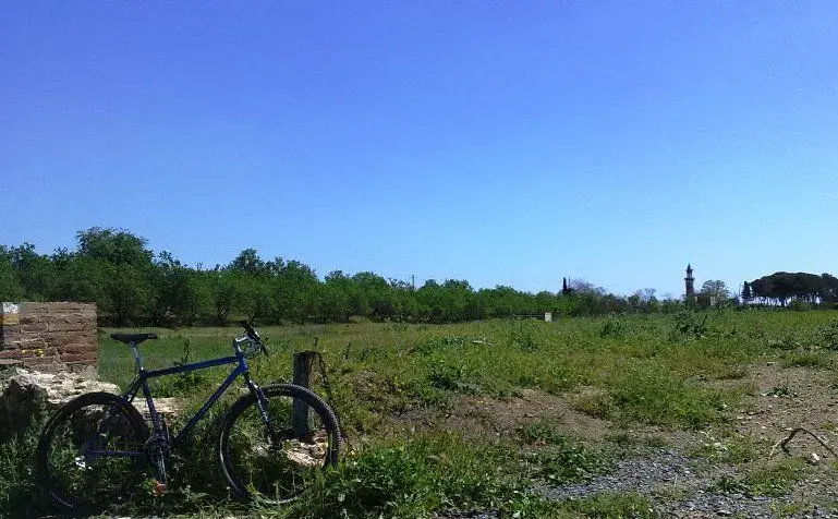 27042010146.webp