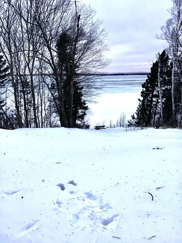 836EABE8-03CC-45F2-808C-56E02770D512.jpeg