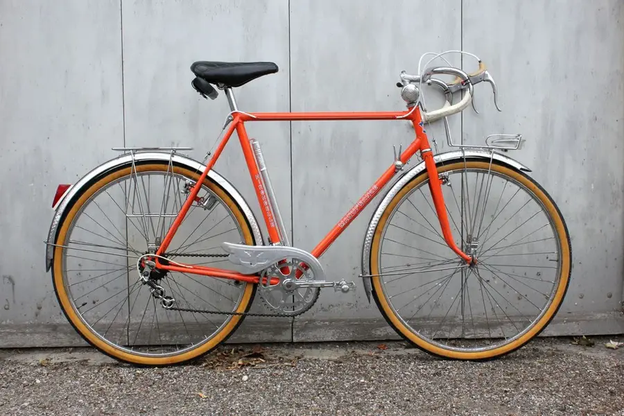 Hirondelle 1.webp