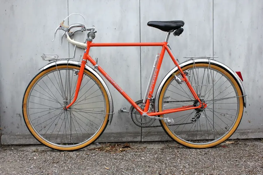 Hirondelle 2.webp