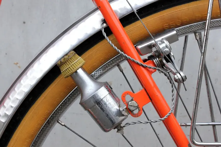 Hirondelle 3.webp