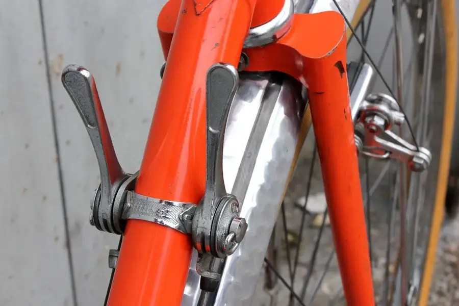 Hirondelle 4.webp