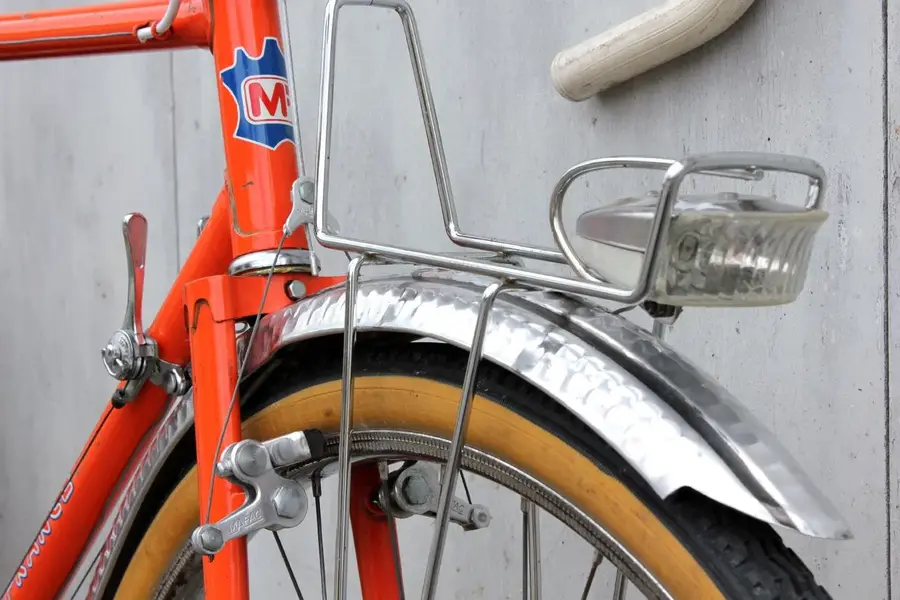 Hirondelle 5.webp