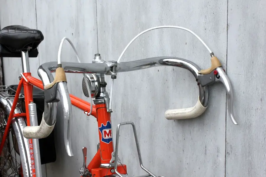 Hirondelle 7.webp