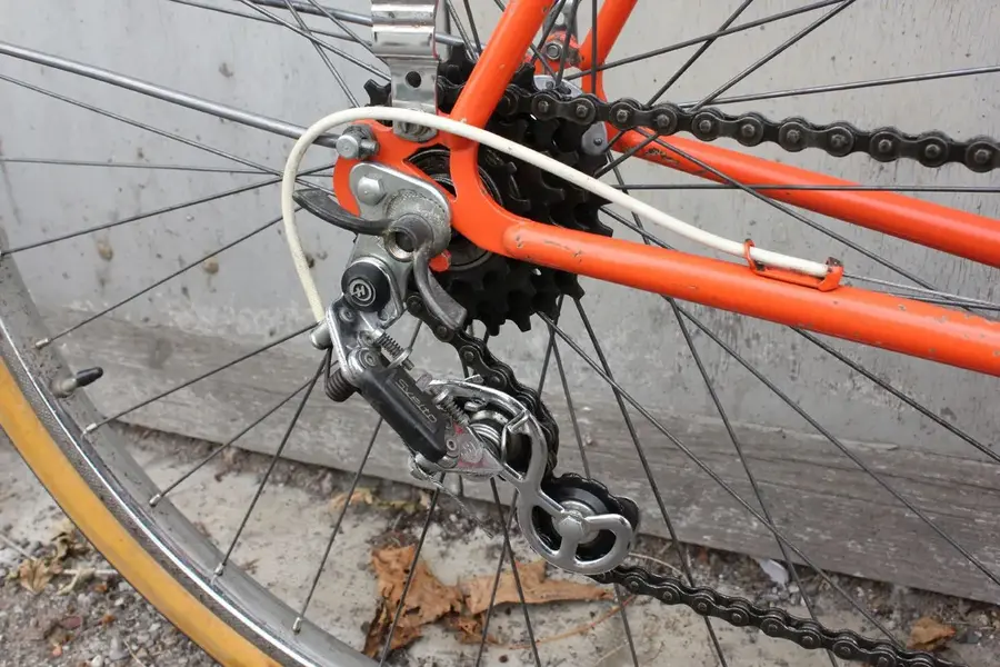 Hirondelle 10.webp