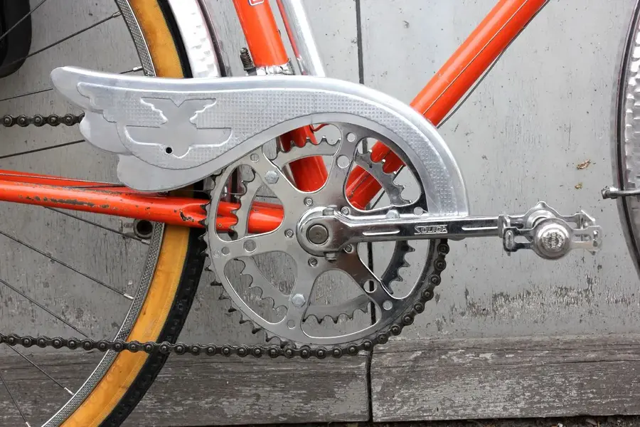 Hirondelle 11.webp