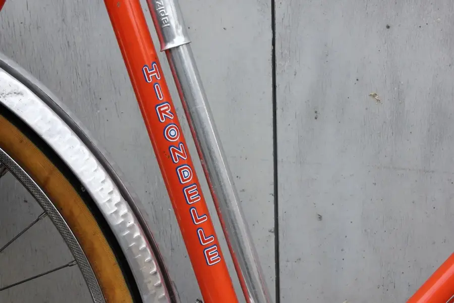 Hirondelle 12.webp