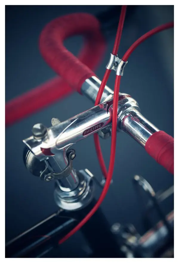 Petier13.webp