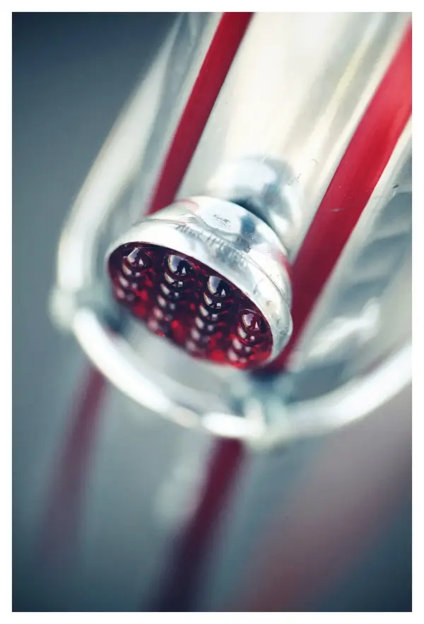 Petier14.webp