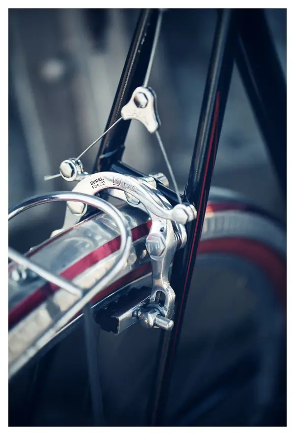 Petier18.webp