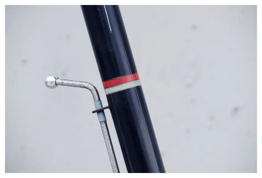 Goeland Louis Moire 28.webp