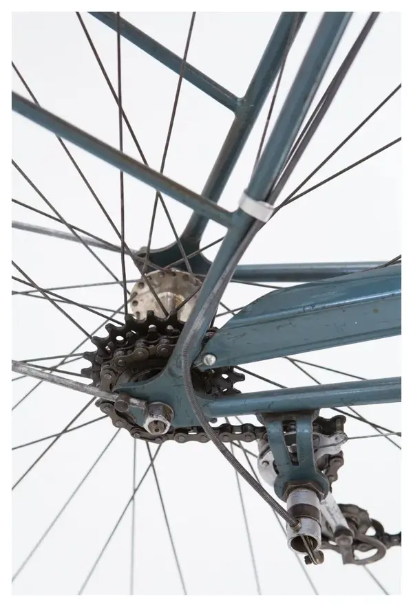 Velo Servant 39.webp