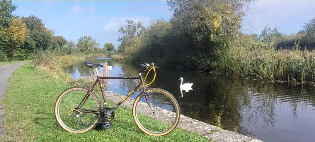 Screenshot_20230218-201547_Strava.webp