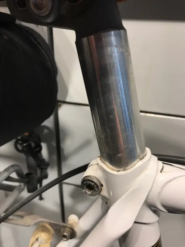 NR7.webp