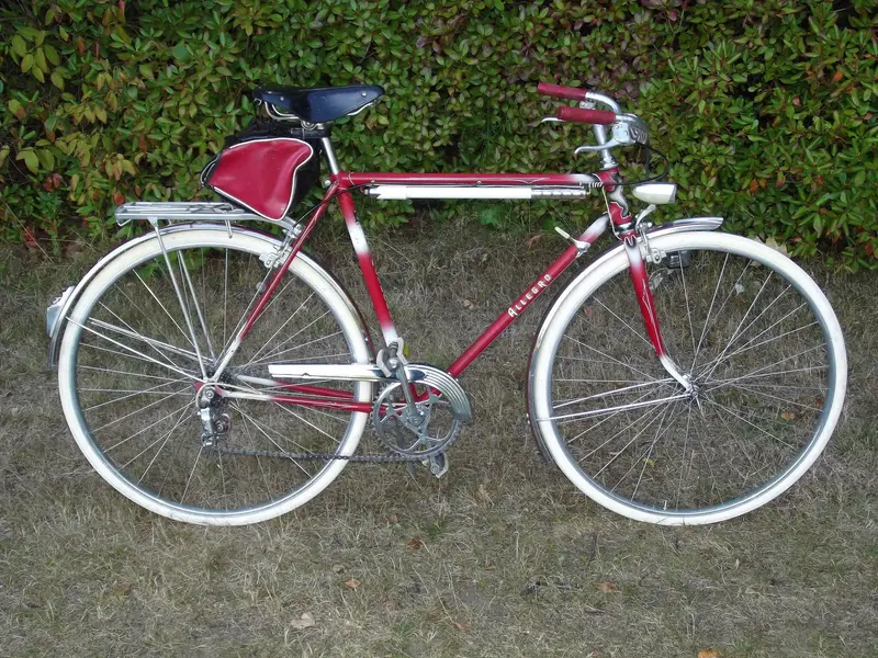 ALLEGRO TOURIST 4.webp