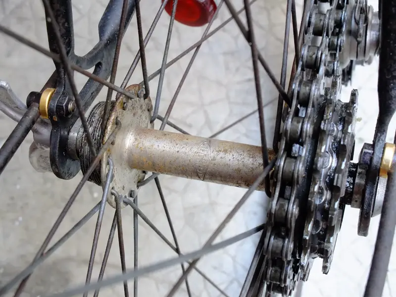Black porteur8.webp