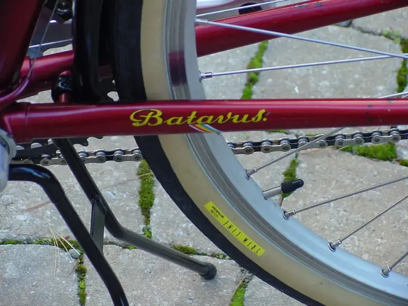 Batavus Pro 650b conversion1.jpg