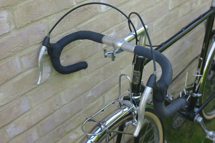 ELVISH RANDONNEUR 2.webp