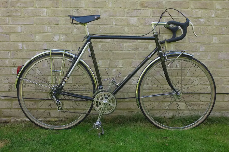 ELVISH RANDONNEUR 3.webp