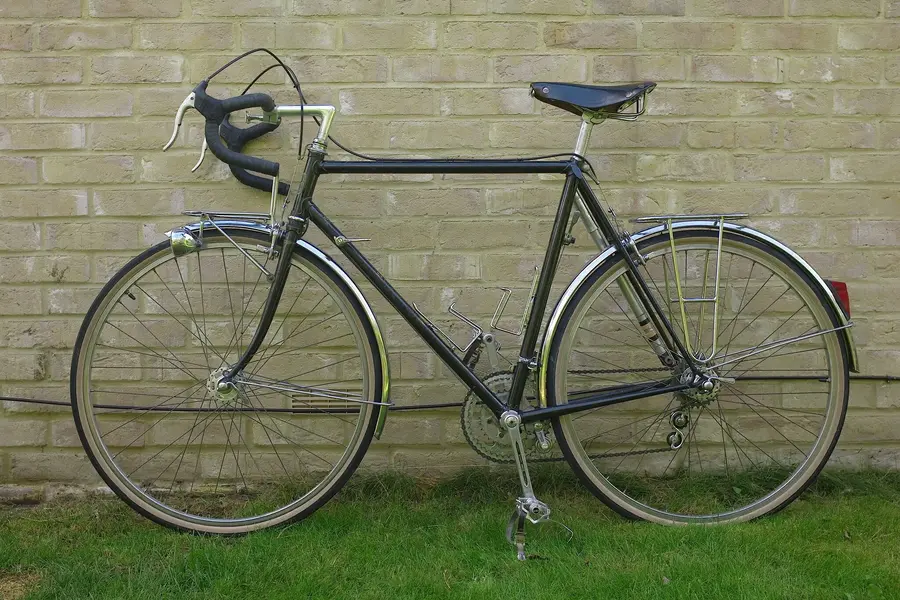 ELVISH RANDONNEUR 4.webp