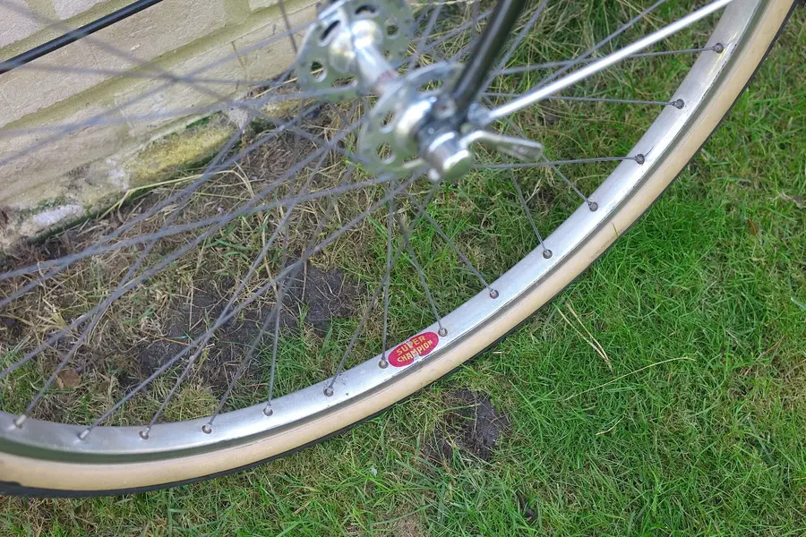 ELVISH RANDONNEUR 5.webp