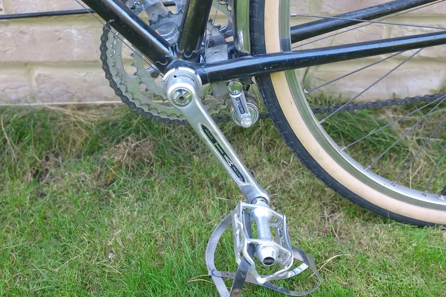 ELVISH RANDONNEUR 6.webp