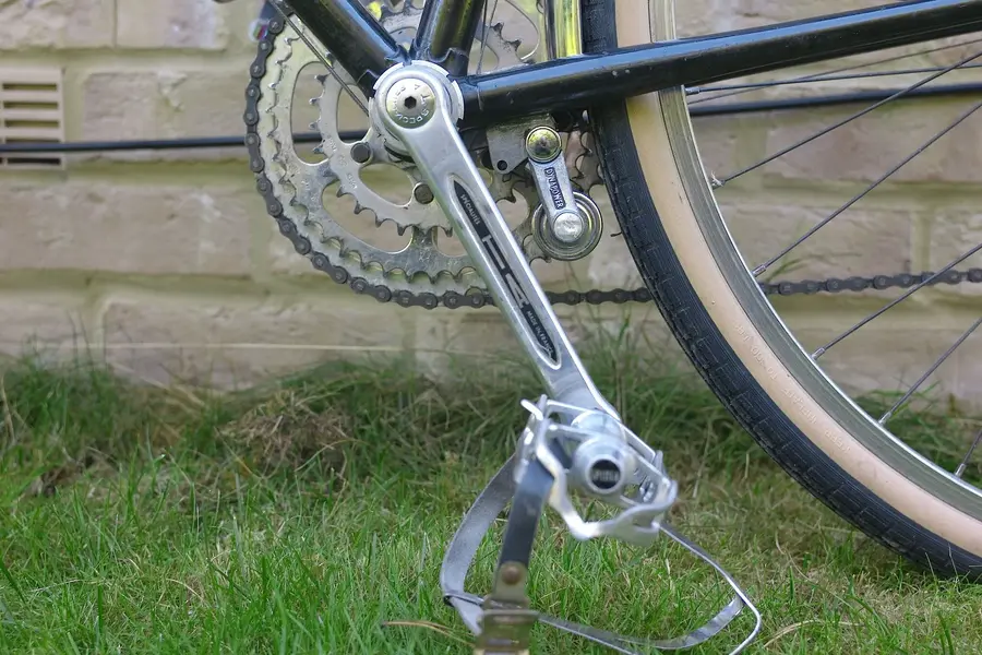 ELVISH RANDONNEUR 7.webp