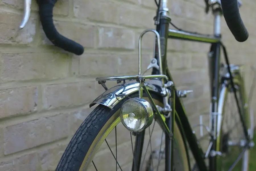 ELVISH RANDONNEUR 12.webp