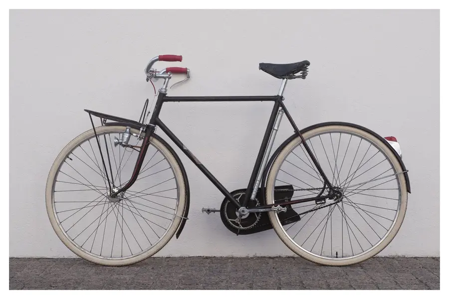 GOELAND LOUIS MOIRE PORTEUR 1.webp