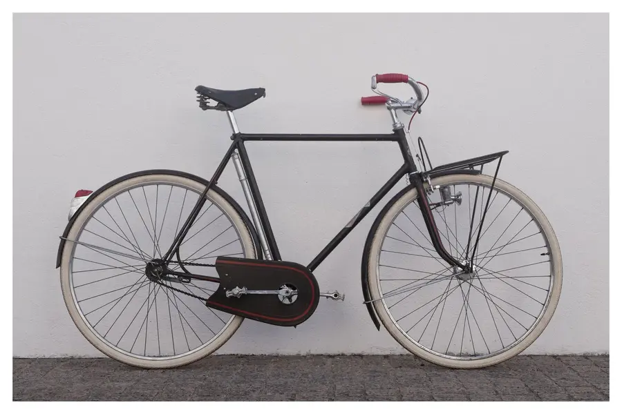GOELAND LOUIS MOIRE PORTEUR 2.webp