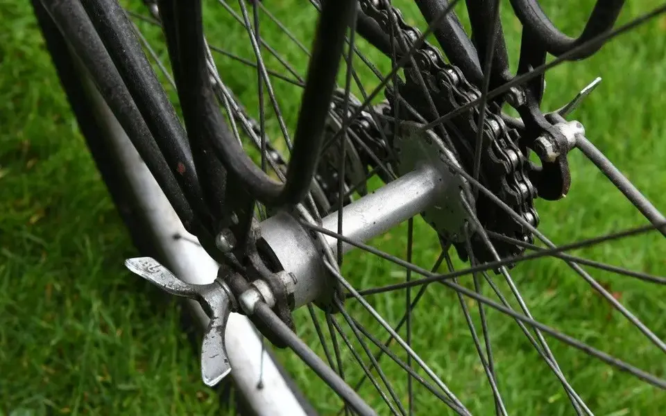 Elite Sport 17.webp