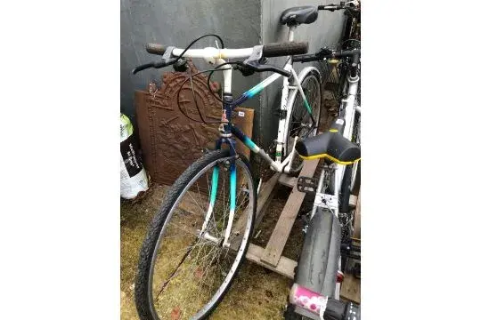 raleigh.webp raleigh.webp