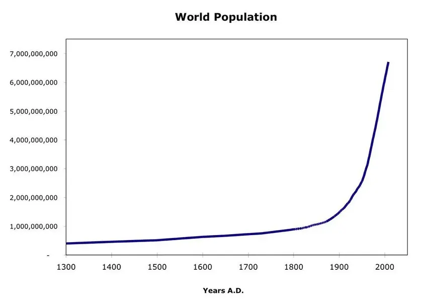 3203403780_d2878c0c82_b.webp