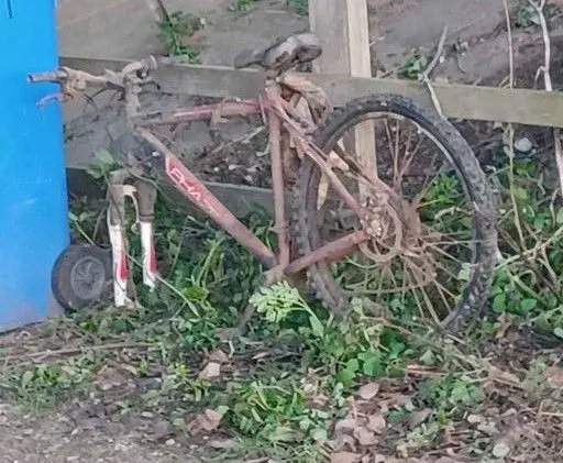 dirtyrustybike.webp