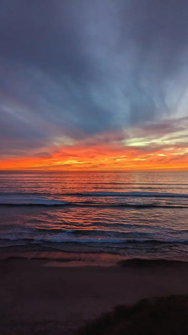 PXL_20230211_014508546~2.webp