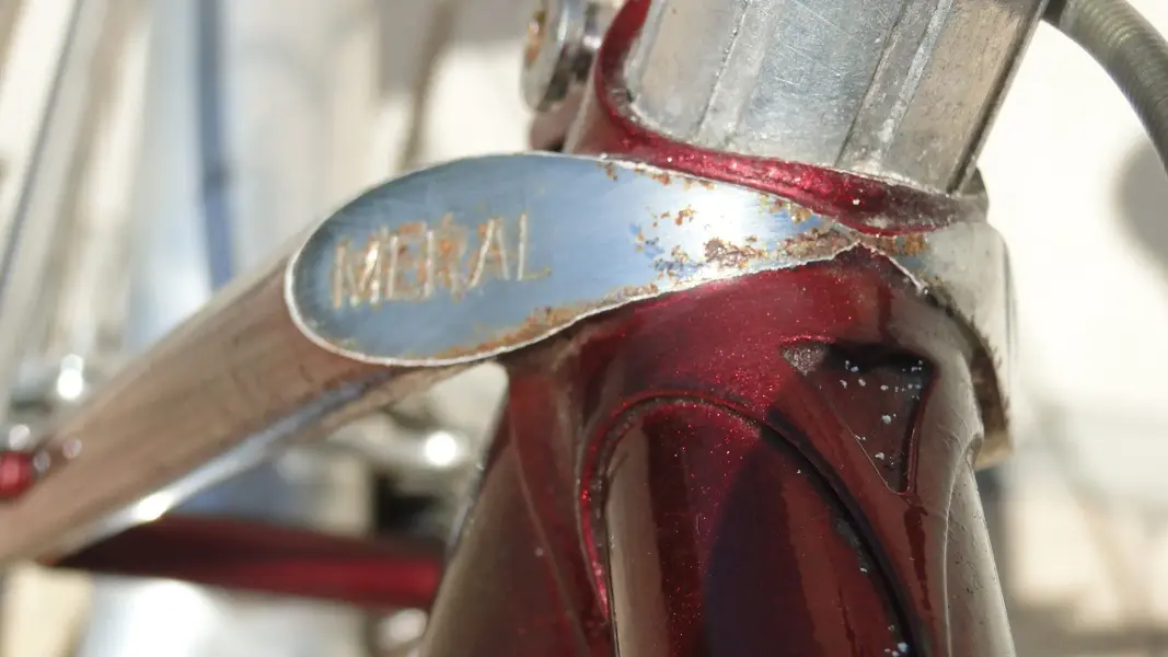 Meral 1982 10.jpg