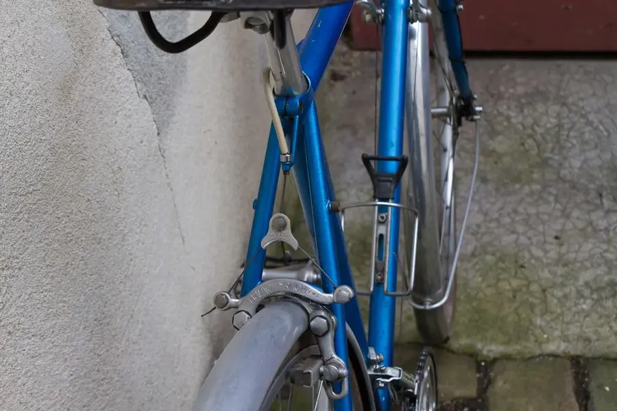 unknown6.webp