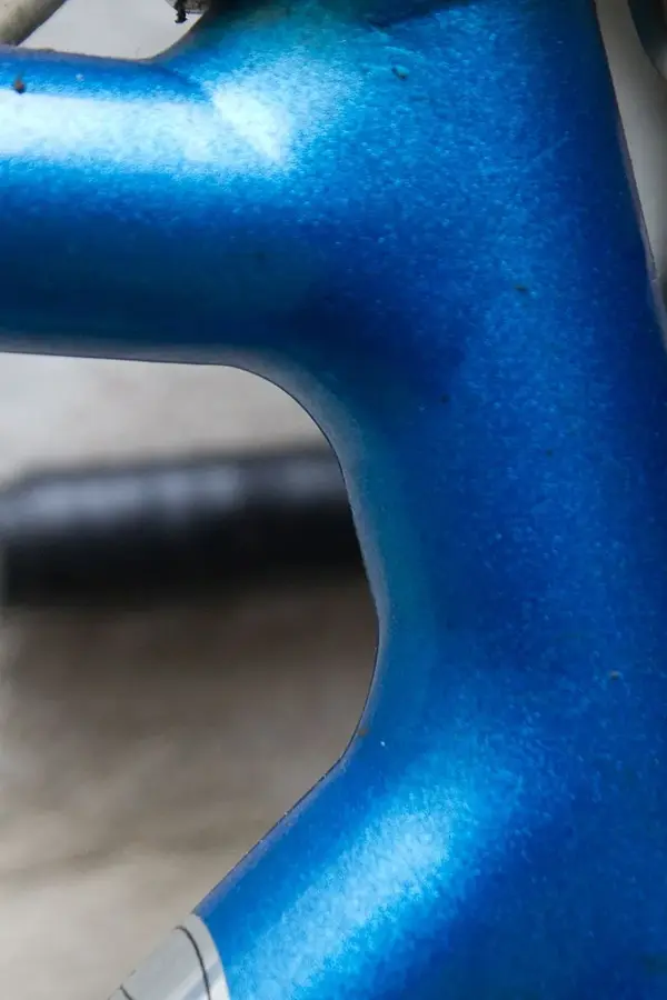 unknown21.webp