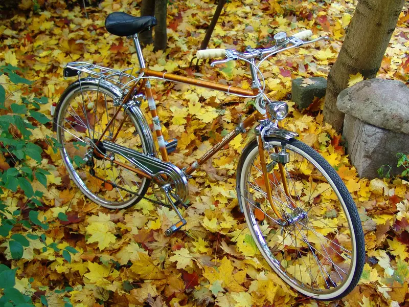 Puch Jungmeister1.webp