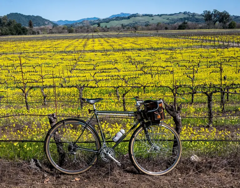 Gitane Gran Tour9.webp