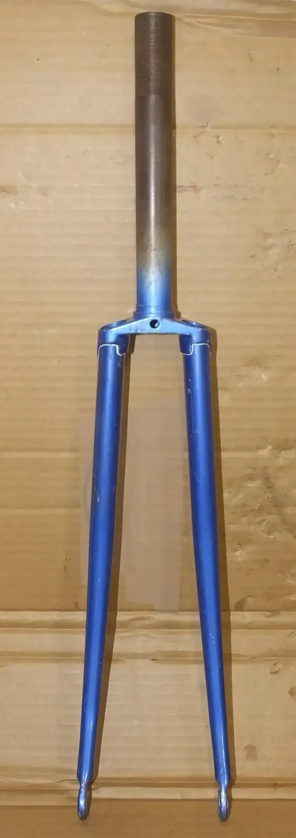 DSCF7531.webp