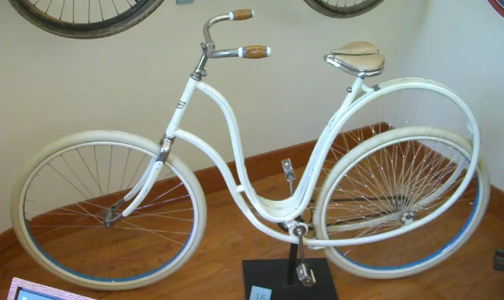swan bike.webp